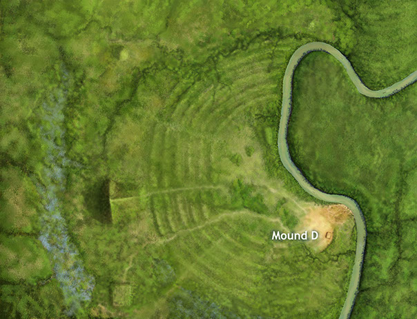 Native Americans built Mound D around 700 A.D. It had been nearly 2,000 years since a mound had been built at the site. Image credit: Herb Roe